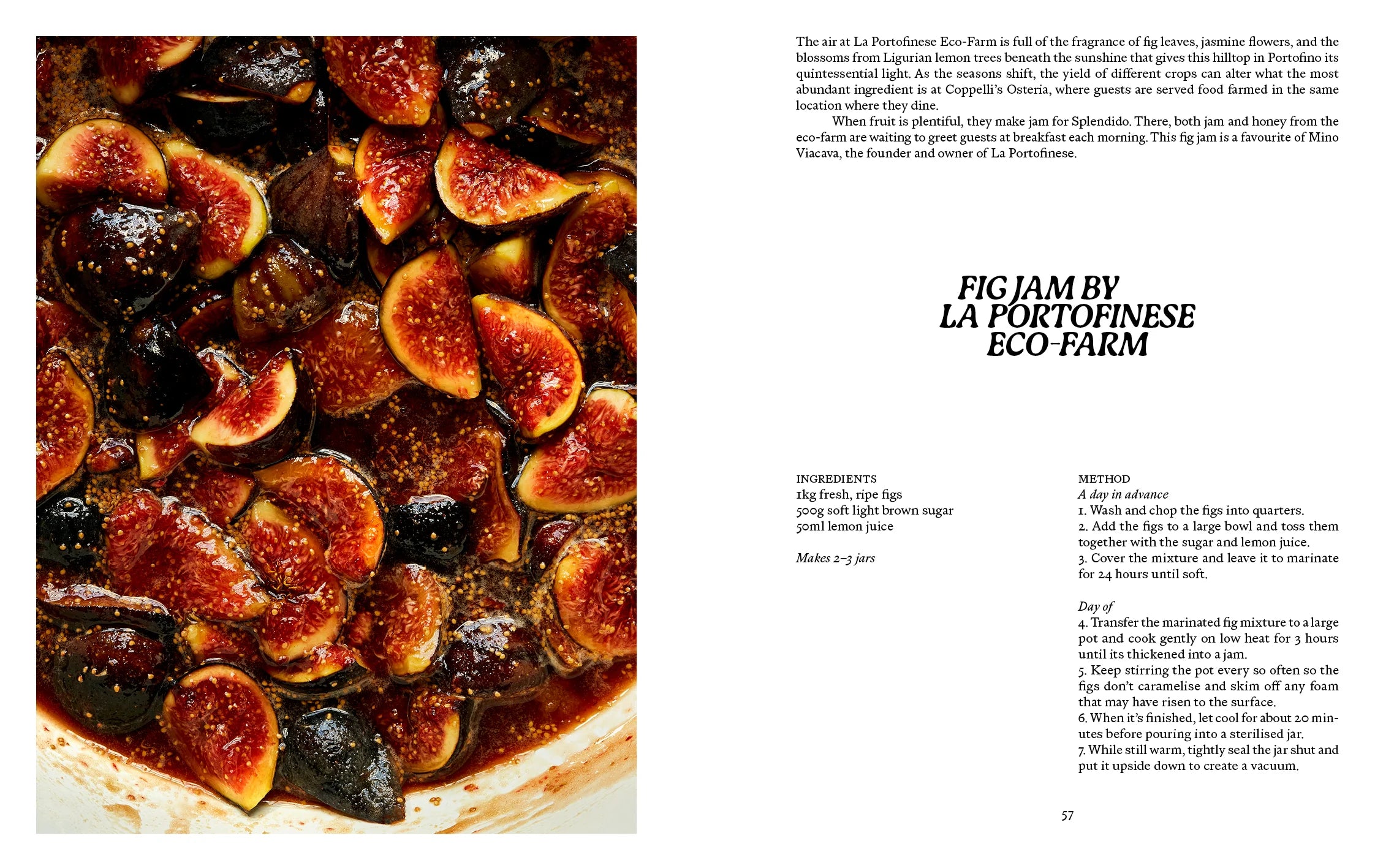 Liguria, Recipes & Wanderings