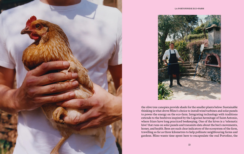 Liguria, Recipes & Wanderings